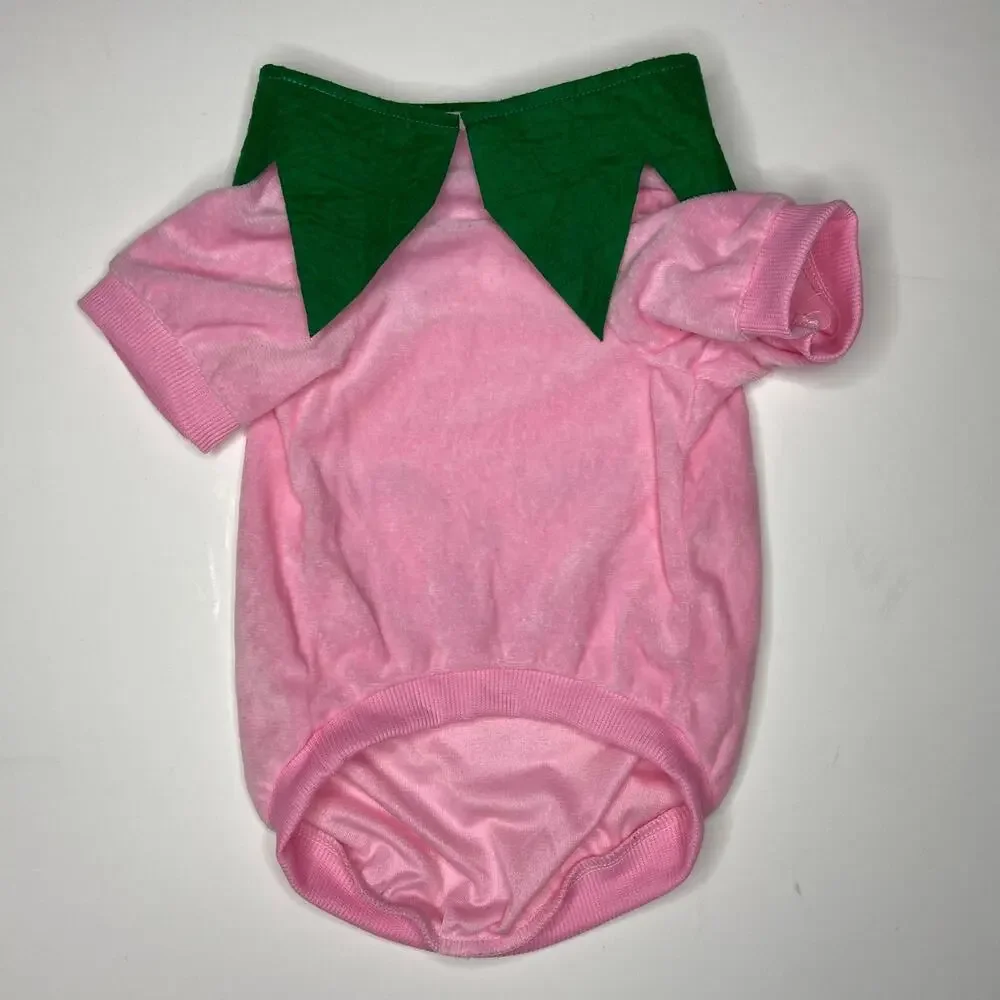 Pink Pumpkin Dog Clothes Halloween Costume